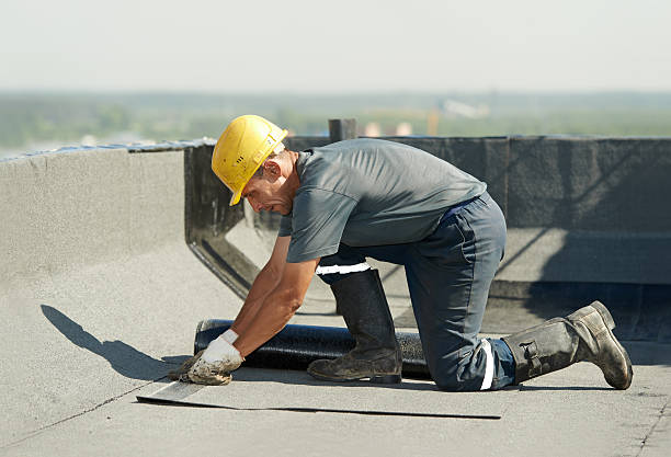 Best Specialized Insulation Services in Grand Rapids, MI