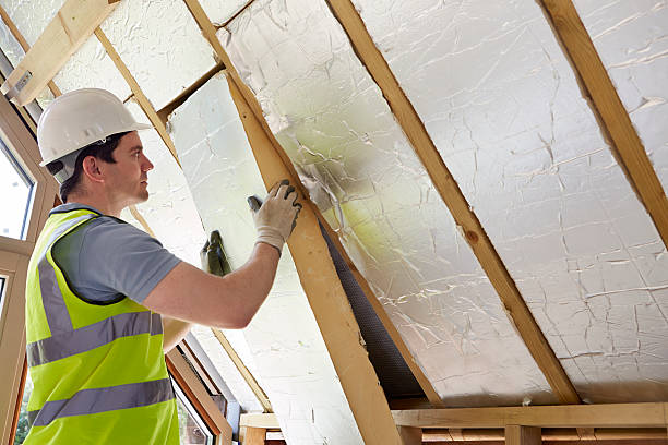 Best Residential Insulation in Grand Rapids, MI